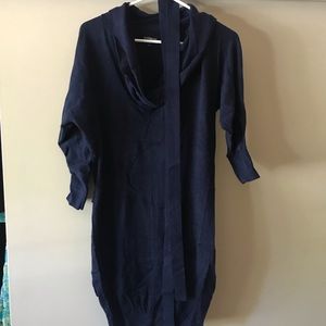 Express sweater dress